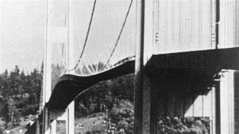 tacoma narrows bridge collapse dog